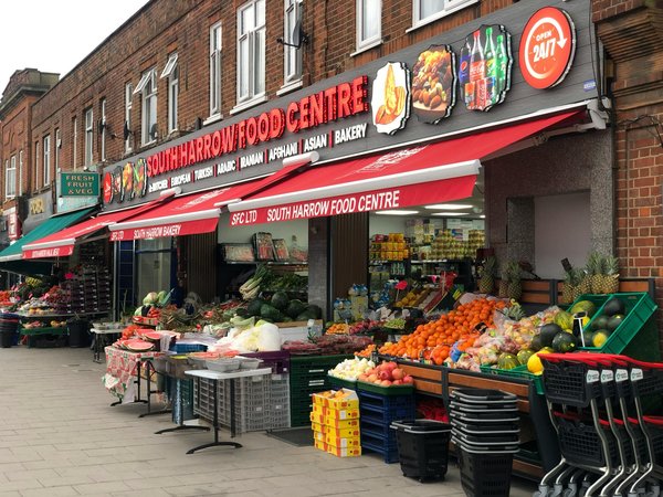 Effortless Fish Scaling: Your Comprehensive Guide to Selecting the Ideal Quality Scaler